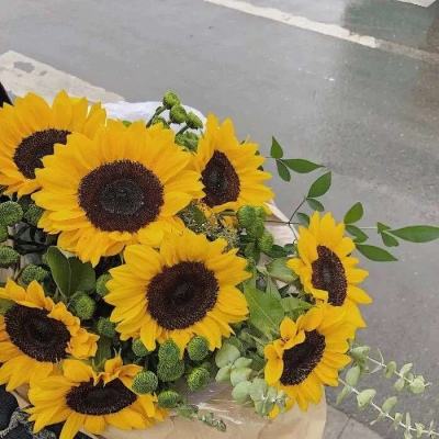 爱乐透彩票门户