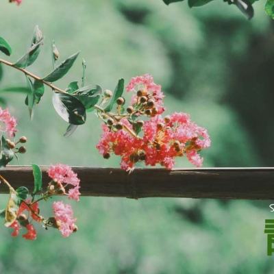 赌博pg电子平台