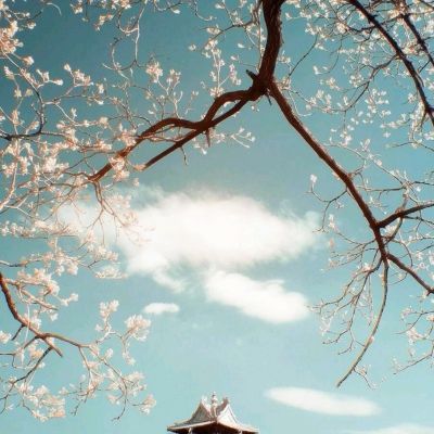 威尼斯澳门人(亚洲)第一品牌