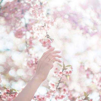 bat365中文官方网站(在线)